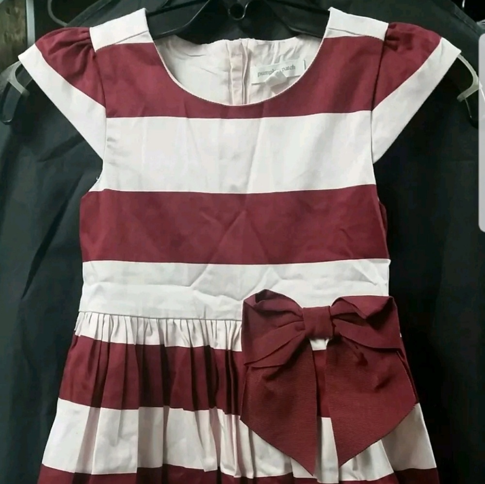 Size 6 Girls dress by Pumpkin patch.  EUC